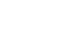 Tizzys Transport